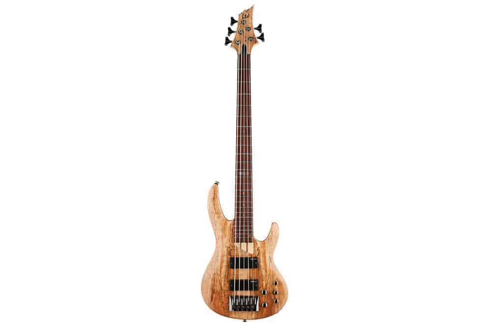 ESP LTD B Series B-205 Five-String Bass Guitar - Natural Satin Review