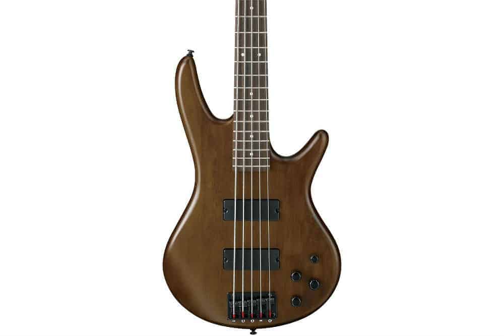 Ibanez 5-String Electric Bass Guitar Review